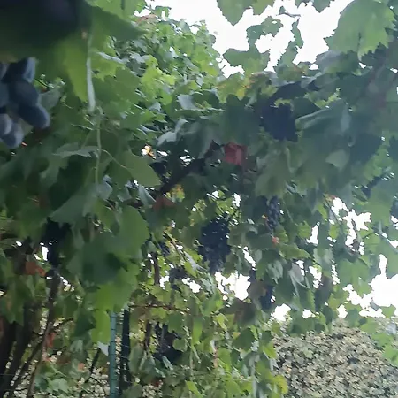 Le Luci In Attico Gran Vista Interno 4 Rose Bianche Vendégház