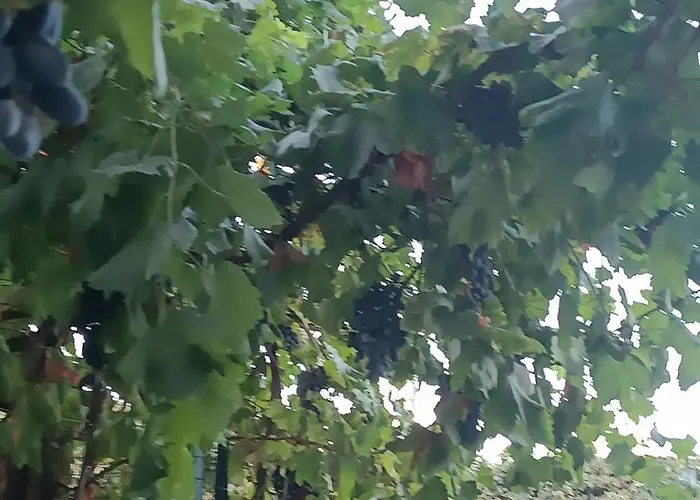 Le Luci In Attico Gran Vista Interno 4 Rose Bianche Pensión