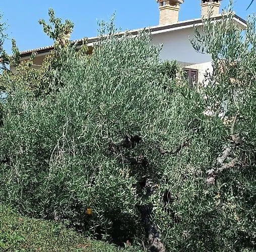 Le Luci In Attico Gran Vista Interno 4 Rose Bianche Gasthuis 3*